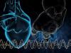 ThetaHealing™ Intuitive Anatomy Course