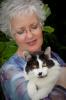 Free Workshop: Healing Animals