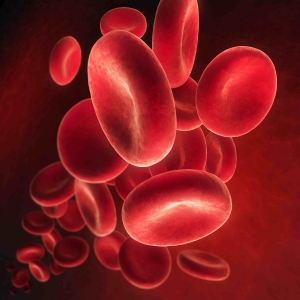Anemia | The Wellness Directory