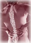 Chiroworks Chiropractic, Auckland