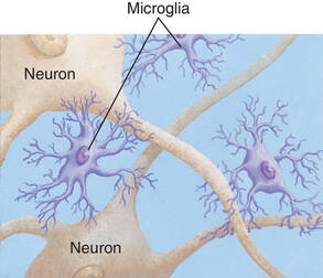 HOW DOES STRESS AND INFLAMMATION EFFECT FIBROMYALGIA SYMPTOMS? article image