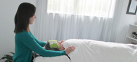 In what ways is a Reiki treatment different from other energy healing therapies? article image