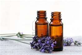 Aromatherapy and Essential Oils article image