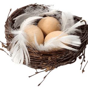Natural Fertility : Doing What Comes Naturally article image
