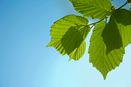 Why Choose Counselling article image