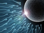 Becoming a Parent – Fertility and Pregnancy Acupuncture article image