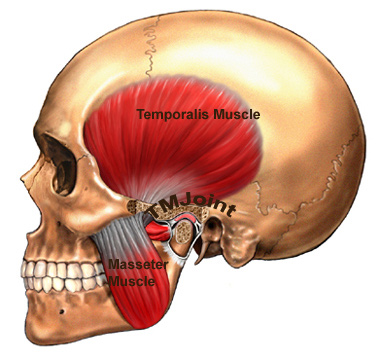 Jaw Pain: Massage can help article image