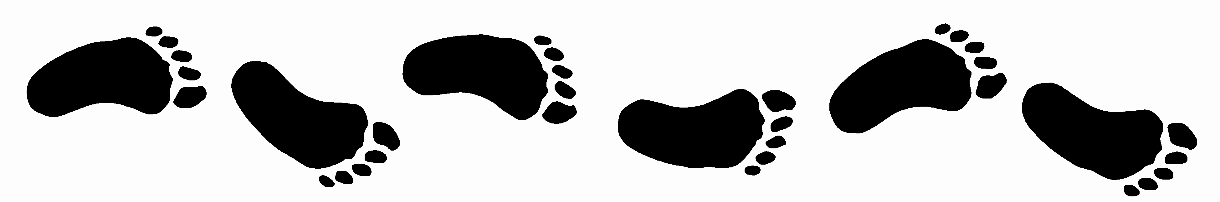 YOUR INPUT REALLY DOES AFFECT YOUR OUTPUT!  Your body’s role in rehabilitation article image