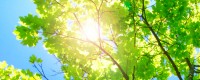 New Light on Overcoming Depression article image