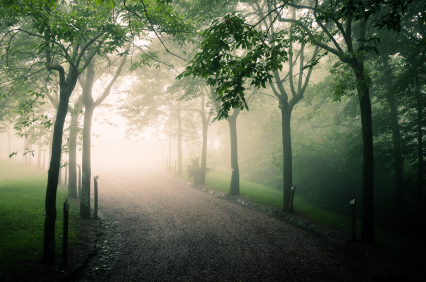 Negative Thinking is one factor in Depression article image