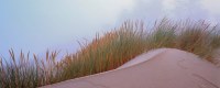 Can I persuade you to take a digital holiday? article image