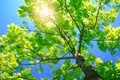 A gift for you - that you can only give yourself... article image