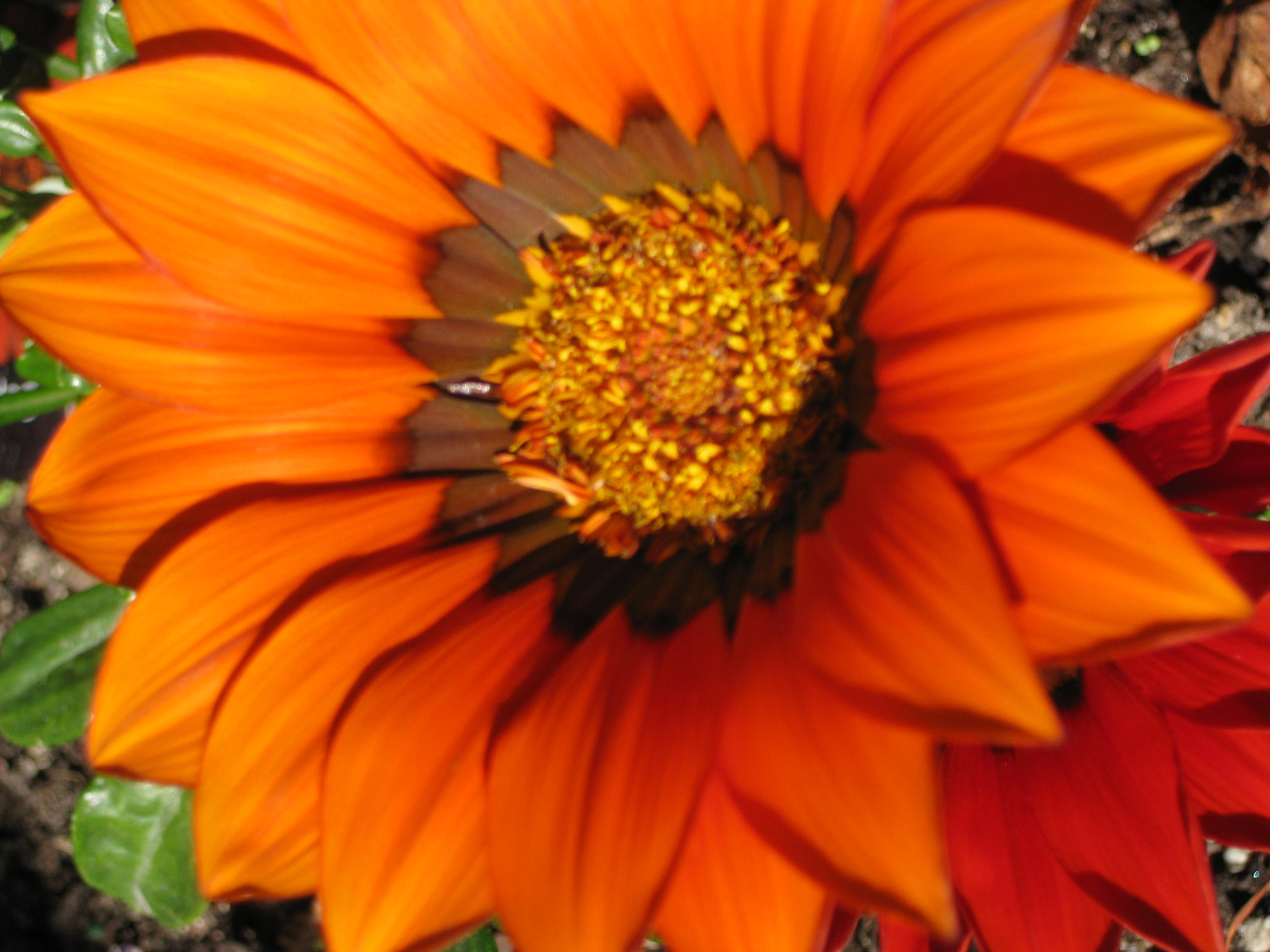 How to Give Yourself Happiness article image