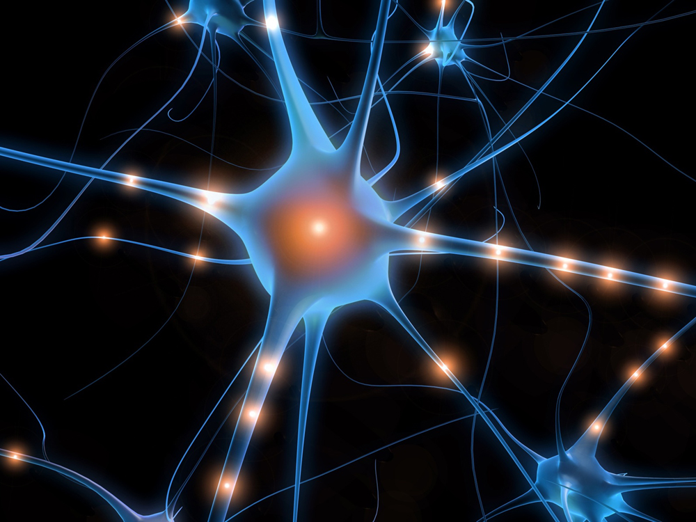 Top Nutritional Tips For Building a Better Brain - Part Three, Toxic Fuel article image