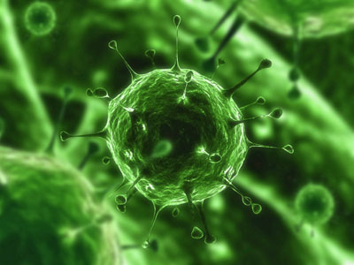 Metal and Chemical Poisoning, and infections by Fungi, Parasites, Bacteria’s and Viruses article image