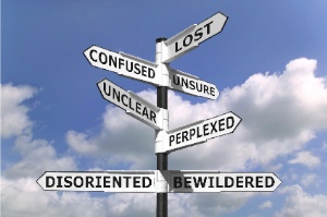 Compassion, Creativity and Courage: Better Decision-Making Using Your 3 Brains article image