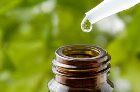 Understanding Homeopathy article image