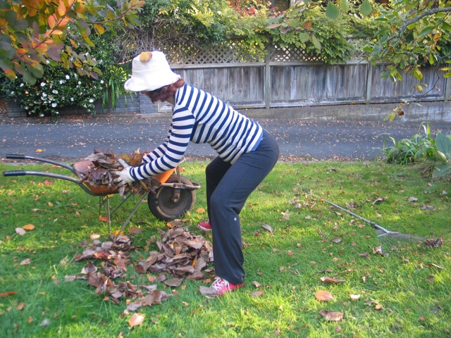 Strengthen As You Garden article image