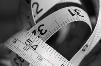 Mitochondria: The Secret to losing weight and feeling great article image
