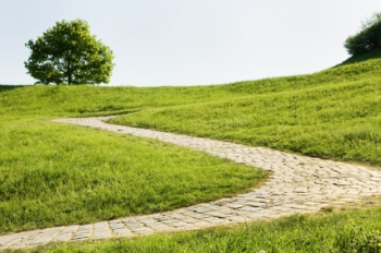Your Path Counselling, Remuera
