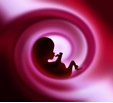 Harmonise Ltd Fertility & Pregnancy Acupuncture | Auckland