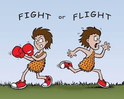 Stress - Fight or Flight | The Wellness Directory