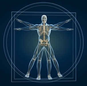 Kinesiology | The Wellness Directory NZ