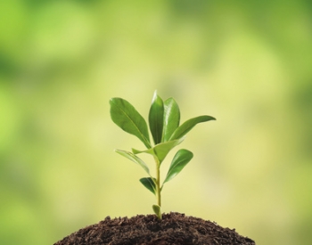 Natural Fertility | The Wellness Directory Natural Fertility | The Wellness Directory