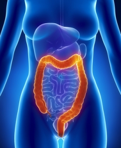 Ulcerative Colitis | The Wellness Directory